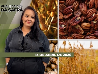 CAPA DO YOUTUBE_REALIDADES-ÍNTEGRA2