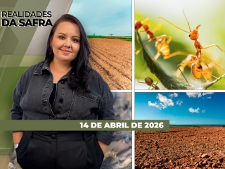 CAPA DO YOUTUBE_REALIDADES-ÍNTEGRA2