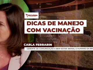 CARLA