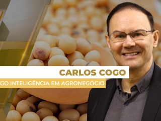 carlos-cogo
