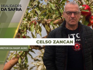 celso zancan sit