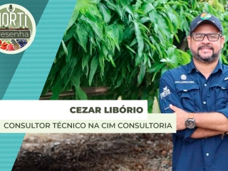 cezar site