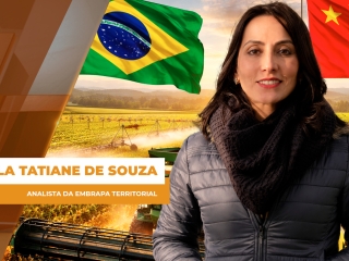 comercial site