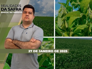 Cópia de THUMB_RDS_27.01