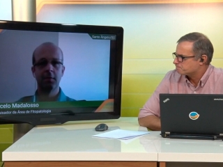 Fred e Marcelo Madalosso