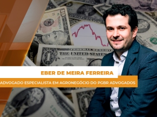 dolar site