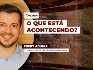 ebert aguiar