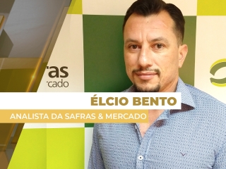 elcio bento thumb site