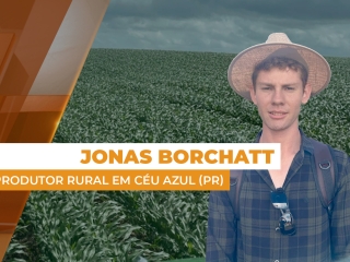 entrevista jonas site