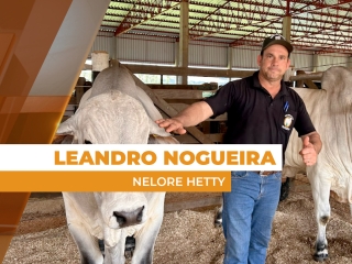 entrevista leandro site