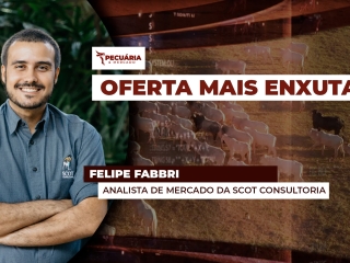 ENTREVISTADO 01 - PECUÁRIA & MERCADO 16