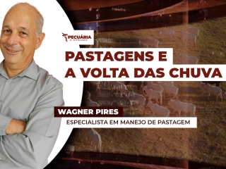 ENTREVISTADO 02 - PECUÁRIA & MERCADO