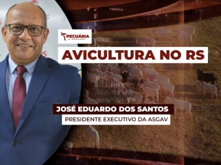 ENTREVISTADO 03 - PECUÁRIA & MERCADO