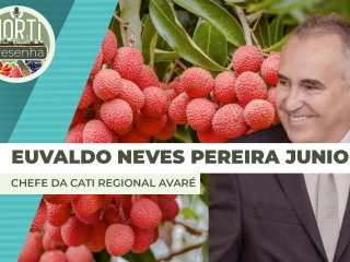 EVERALDO