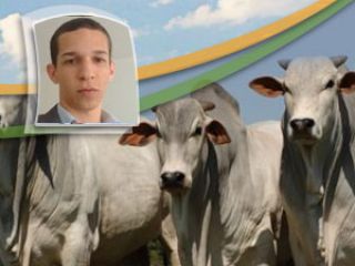 Douglas coelhoo