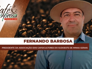 fernando barbosa site