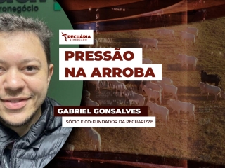 Gabriel Gonsalves