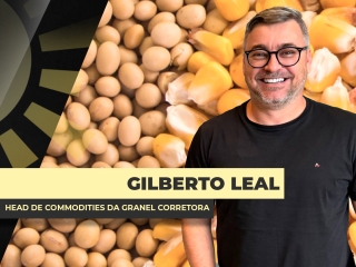 gilberto