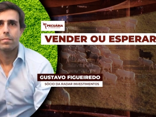 gustavo figueiredo