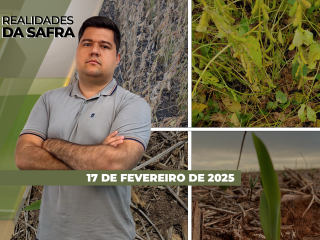 íntegra-Realidades-17-02