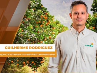 Laranja SITE