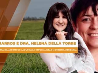 legislaçao fogo site