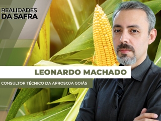LEONARDO MACHADO