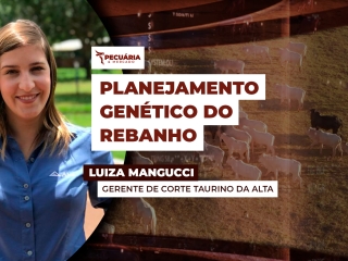 luiza