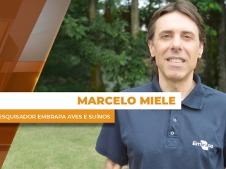 marcelo miele thumb site