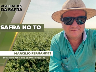 MARCILIO