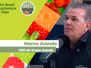 MARCO ARANDA SITE