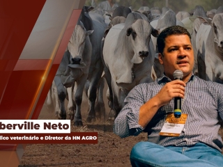 Mercado do Boi Gordo site