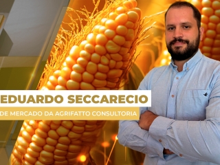 milho site