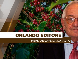 orlando-site