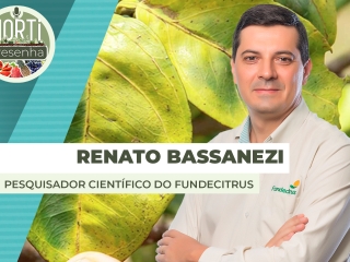 Renato-Bassanezi st