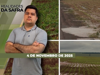 rld integra dia 4 site