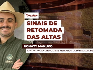 Ronaty Makuko - THUMB 1