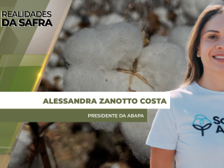 site-Alessandra-Zanotto-Costa