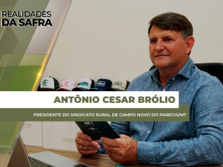 site Antonio Cesar Brolio