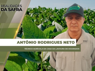 site Antonio Rodrigues