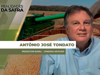 site Antonio Tondato