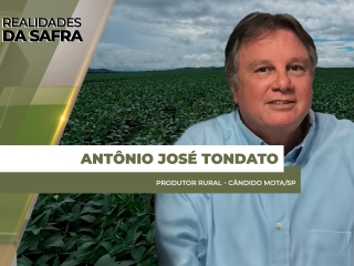 site Antonio Tondato