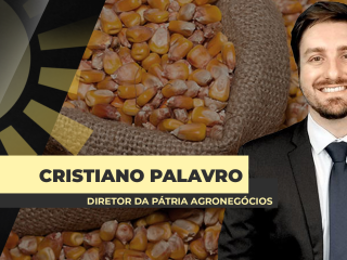 site-Cristiano-Palavro