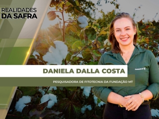 site Daniela Dalla