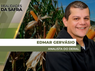 site Edmar Gervasio