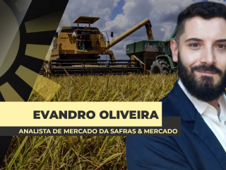 site-Evandro-Oliveira