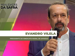 site-EVANDRO-VILELA