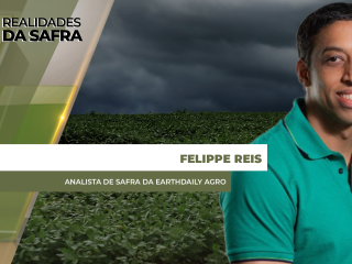 site-Felippe-Reis