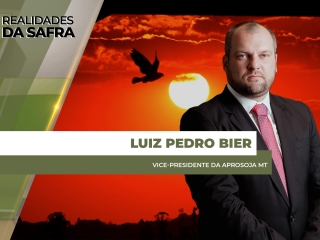 site Luiz Bier