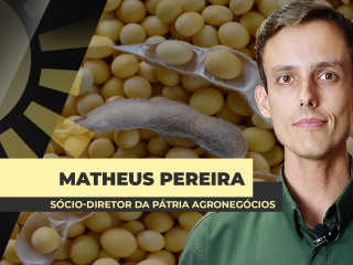 site-MATHEUS-PEREIRA
